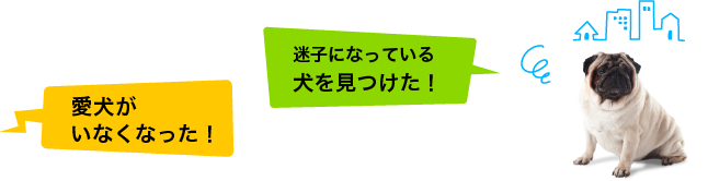 迷子犬 保護犬の捜索掲示板 愛犬ポータル ワンダホー